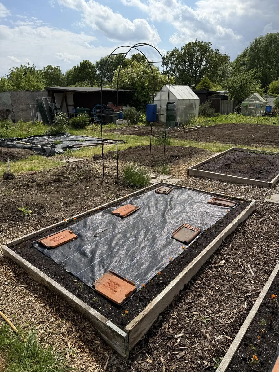 A freshly built raised bed lined with membrane on a UK allotment in spring